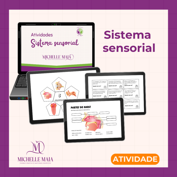 Sistema Sensorial