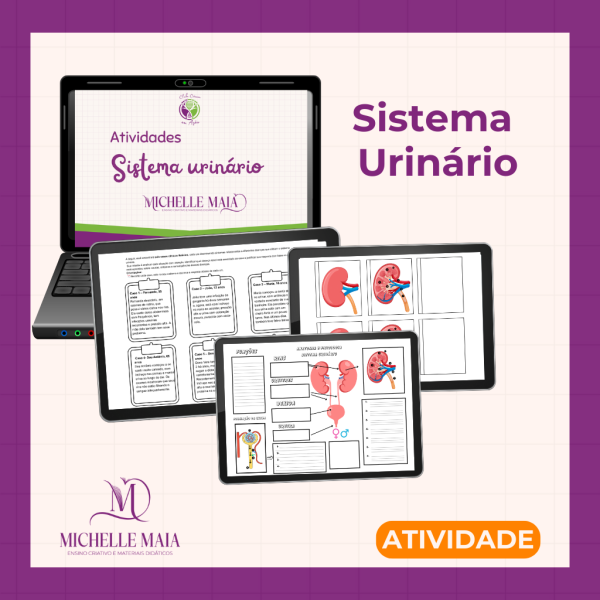 Atividade: Sistema Urinário