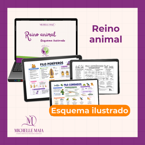 Reino animal- esquema ilustrado